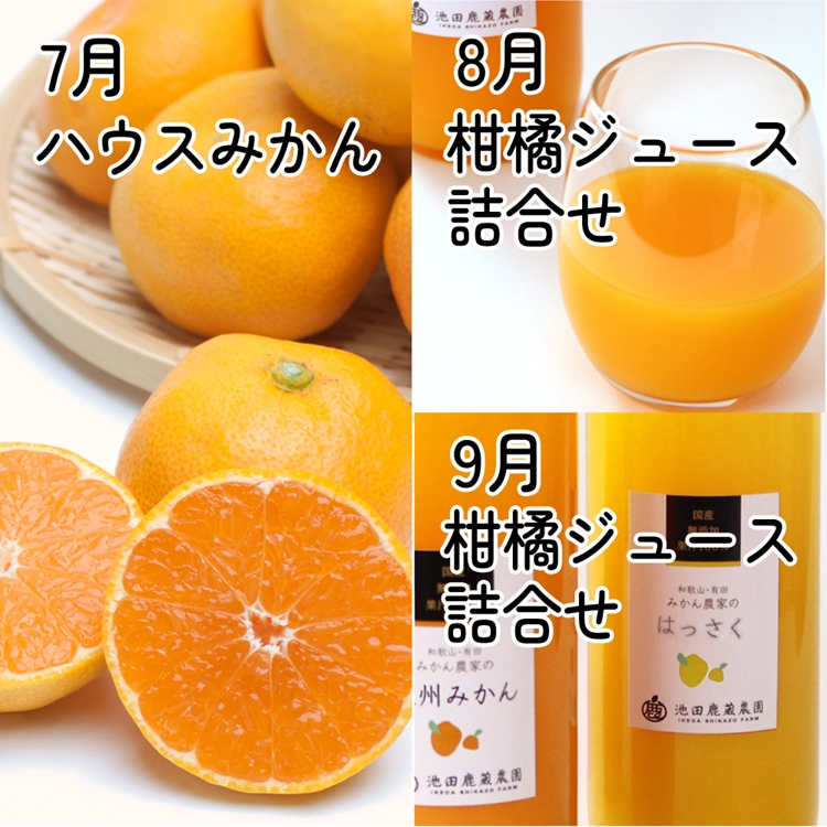 【定期便】家庭用 柑橘定期便 S 3回（7～9月）※北海道・沖