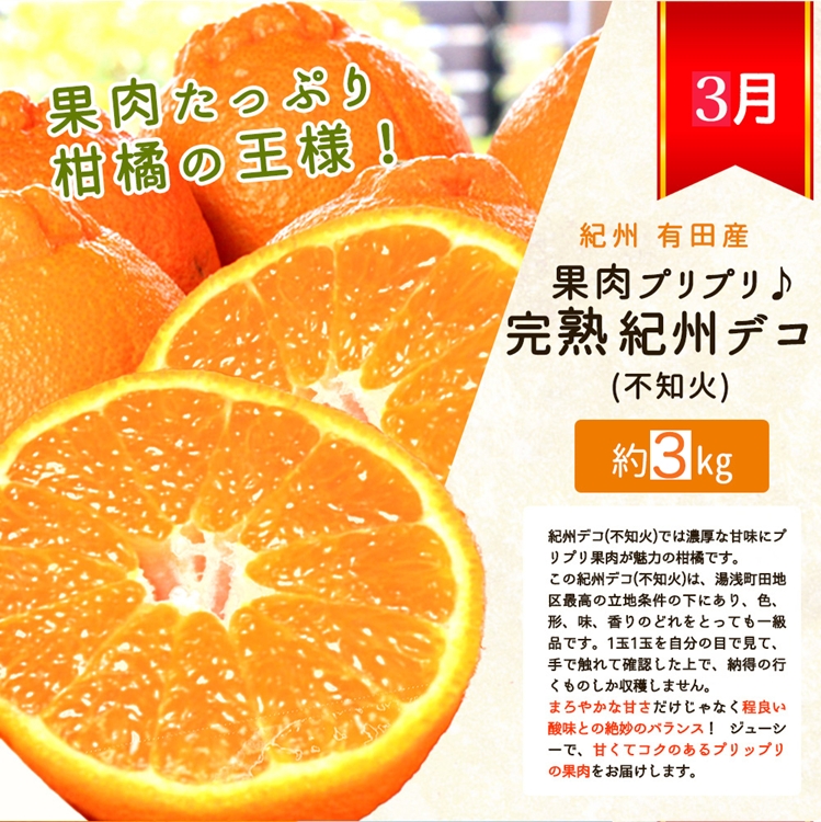 〈定期便〉【2・3・12月 全3回】紀州和歌山産旬のフルーツ