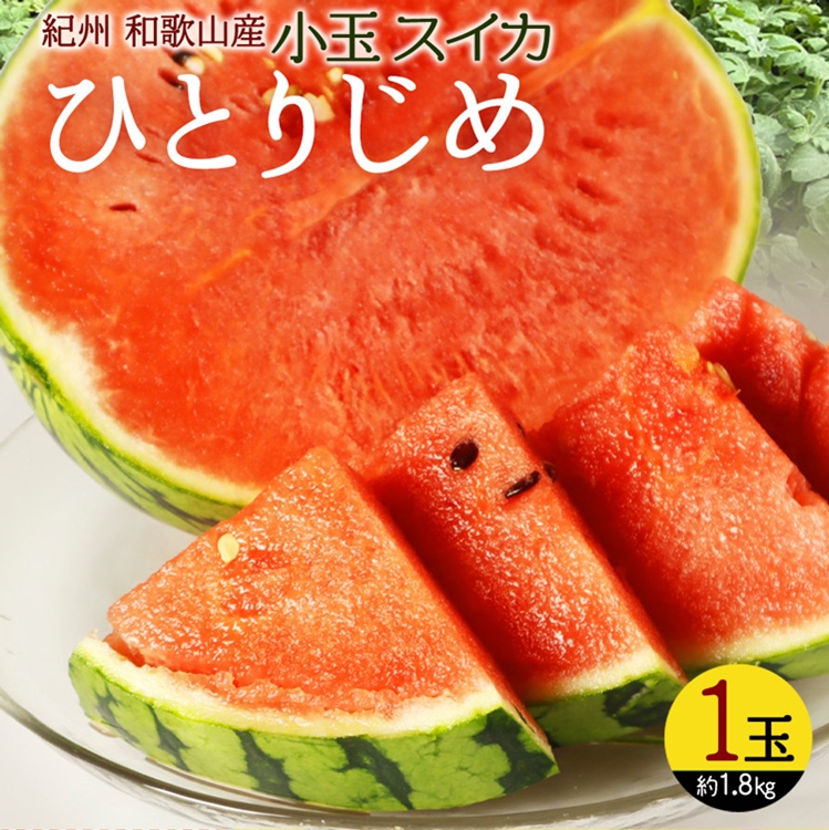 〈定期便〉【2・4・6・8・10・12月 全6回】紀州和歌山産旬の