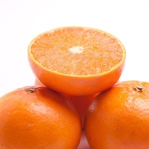 ＜2月より発送＞厳選 せとか7.5kg+250g（傷み補償分）｜柑橘