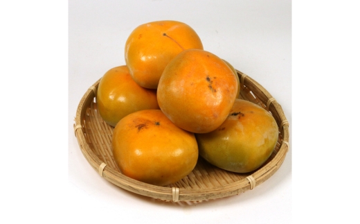 家庭用 訳あり たねなし 柿 10kg 【刀根早生・平核無柿（ひ