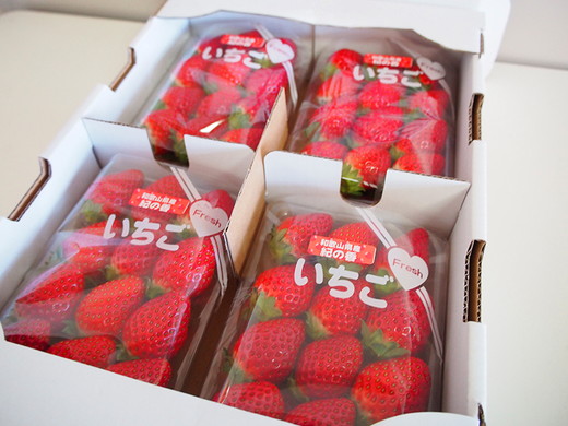 【先行予約】 紀州和歌山産 ブランド いちご 「紀の香」約2