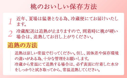 【産直・人気の特産品】和歌山の桃　約2kg・秀品◇ ｜ モモ