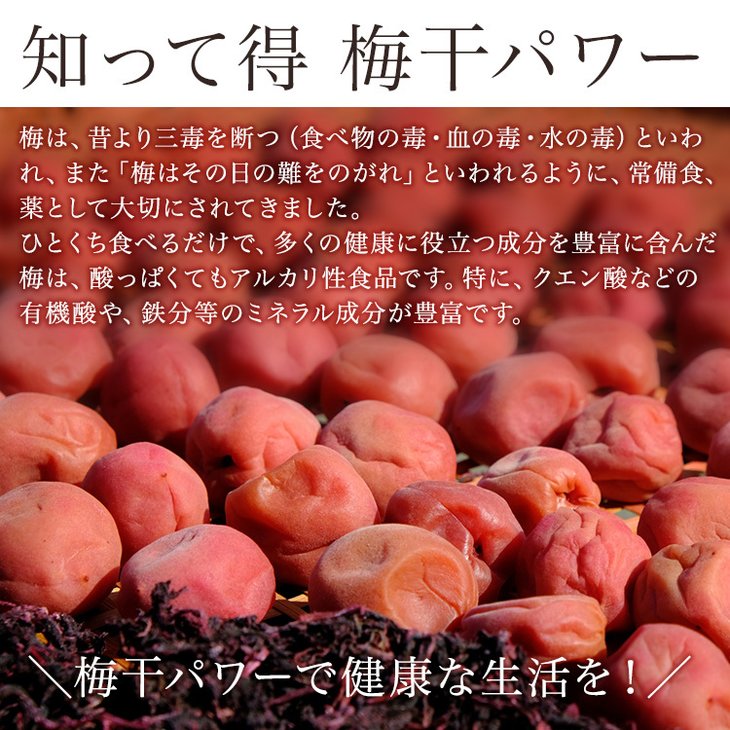 《紀州南高梅》はちみつ梅干し つぶれ梅（ご家庭用 訳あり