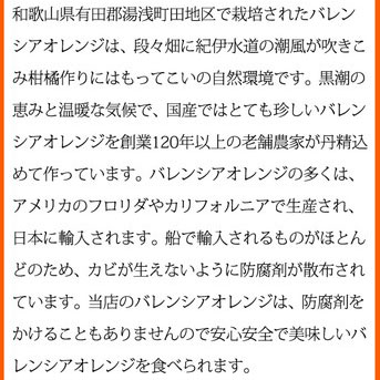 【ご家庭用訳あり】希少な国産バレンシアオレンジ 7kg ※202