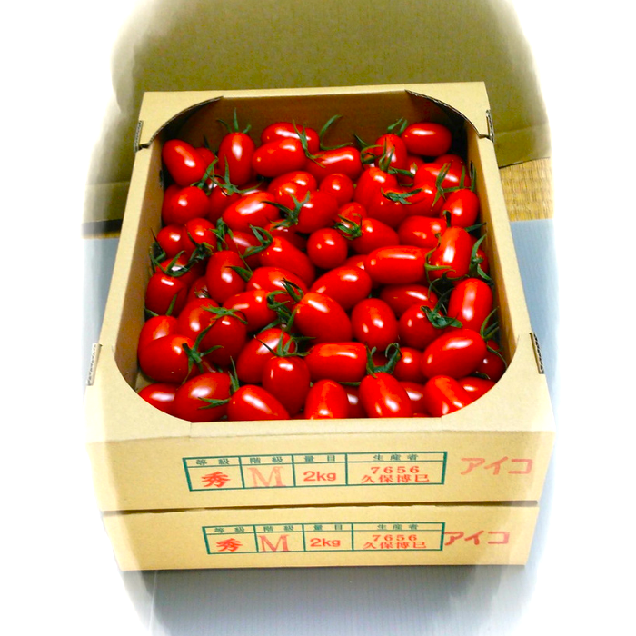 美浜町産　松トマト（アイコ）2Kg｜ミニトマト とまと 野菜