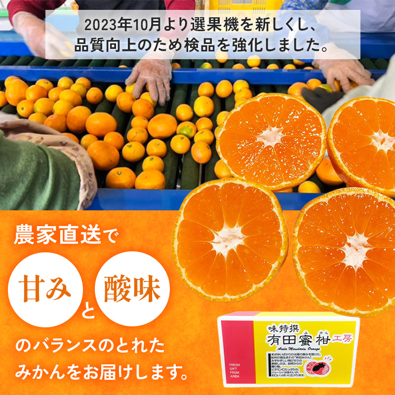 【ご家庭用】和歌山有田みかん約5kg(SS、Sサイズ) 〇｜ みか