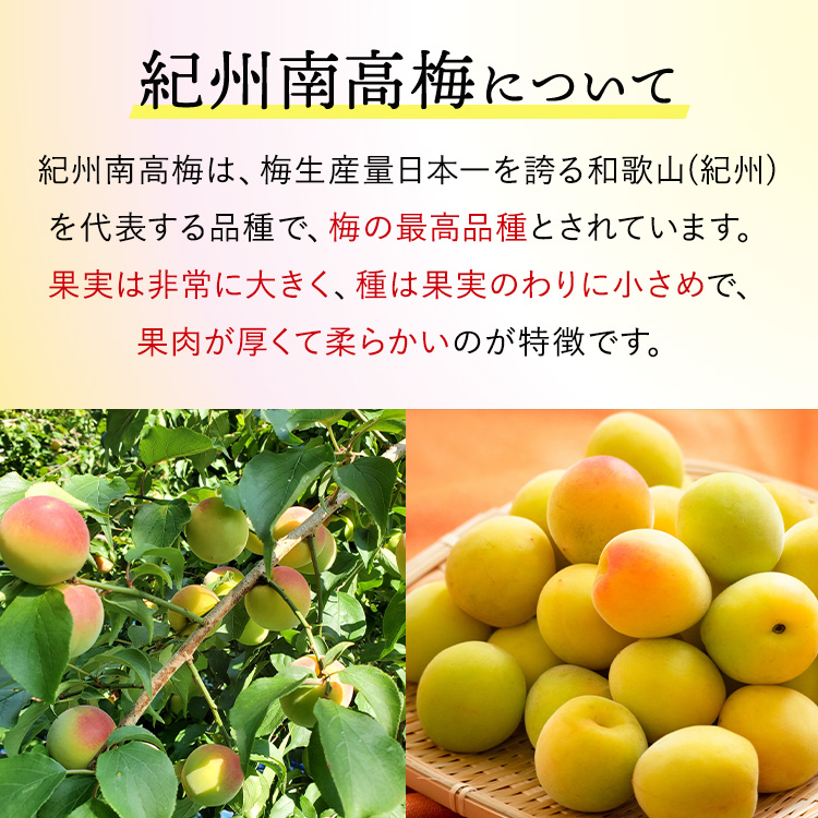 【贈答用】紀州南高梅　うす味梅　400g　化粧箱入| ギフト 