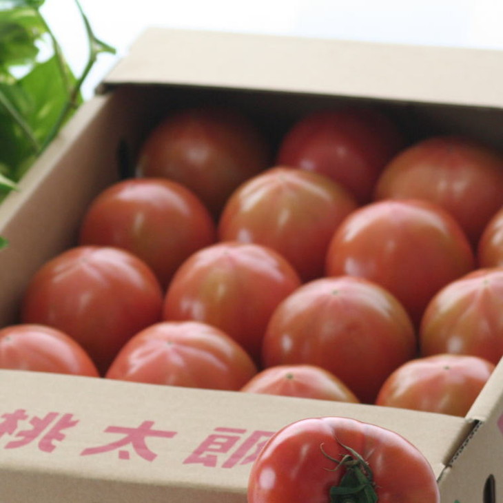 【新鮮】和歌山県産桃太郎トマト約4kg（L～2Lサイズおまか