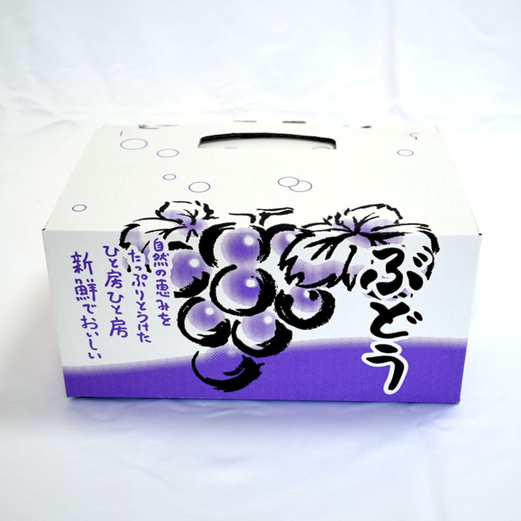 【数量限定】ピオーネと翠峰の夏のおまかせセット約200g×4