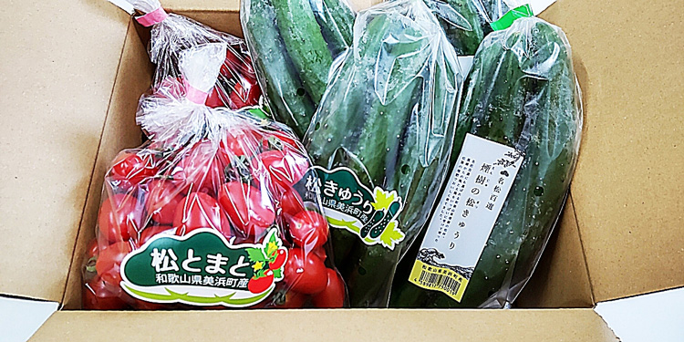 【煙樹の松野菜ブランド】
松とまと（アイコ）松きゅうり
