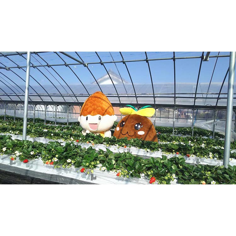 はないちご農園「まりひめデラックス」
※着日指定不可
