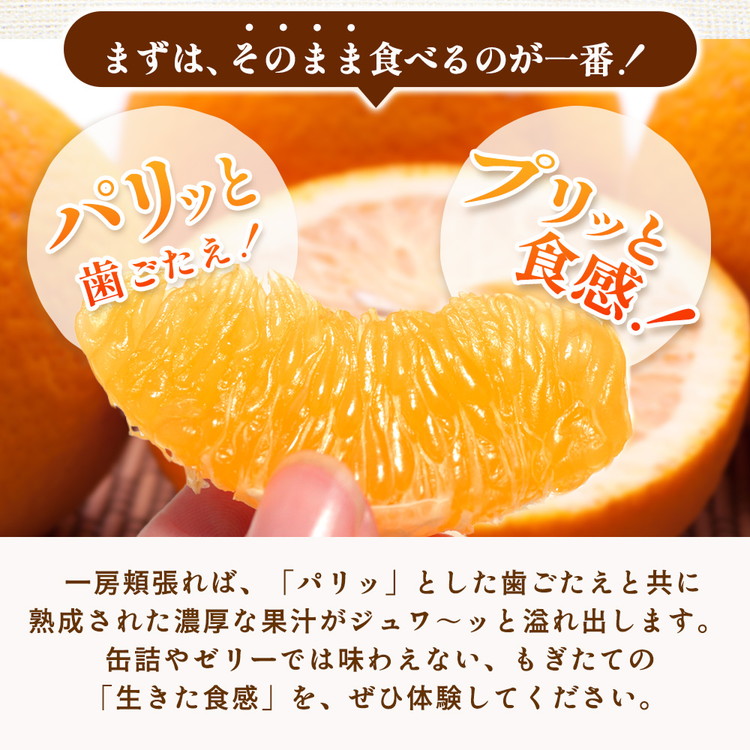 ＜4月より発送＞厳選 樹上完熟はっさく5kg+250g（傷み補償分