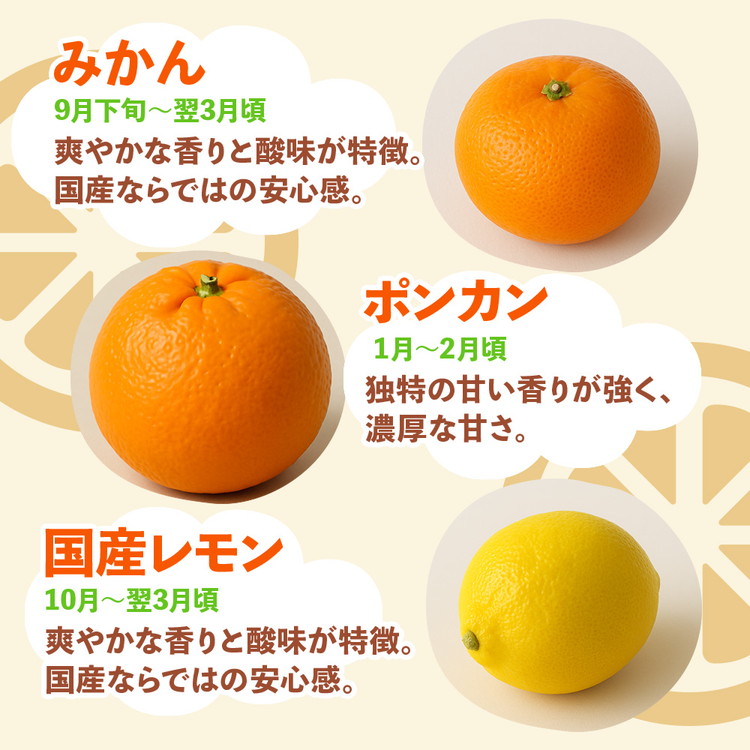 ＜1月より発送＞厳選 柑橘詰合せ2.5kg+250g（傷み補償分）◇