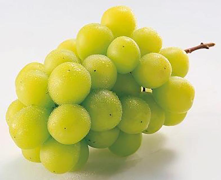 〈定期便〉【2・7・8月 全3回】和歌山厳選フルーツ（いちご