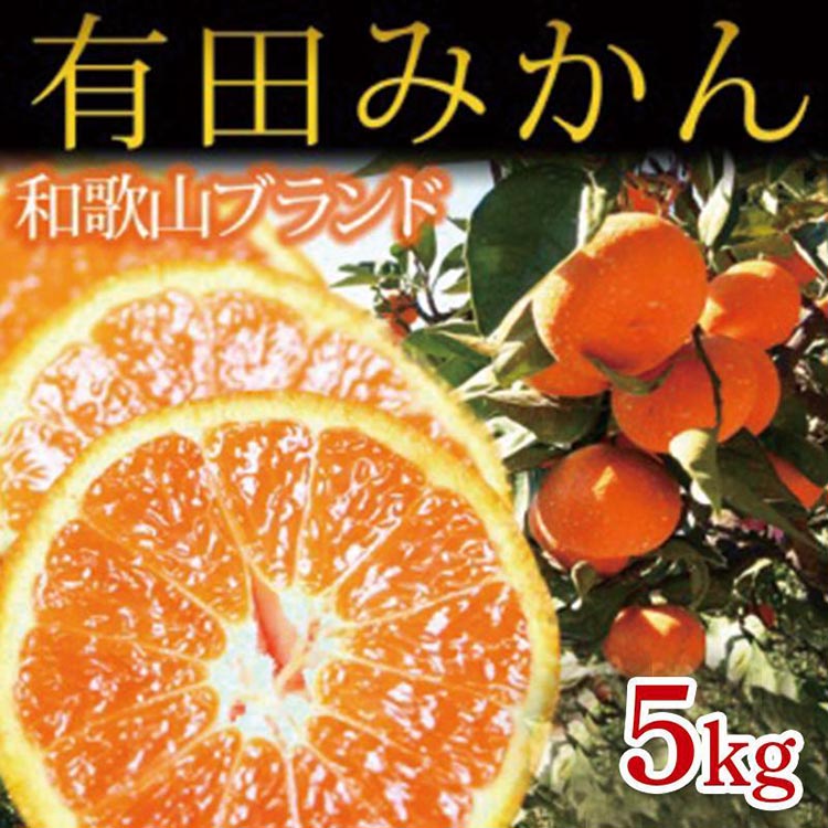 〈定期便〉【10・11・12月 全3回】和歌山人気のフルーツ定期