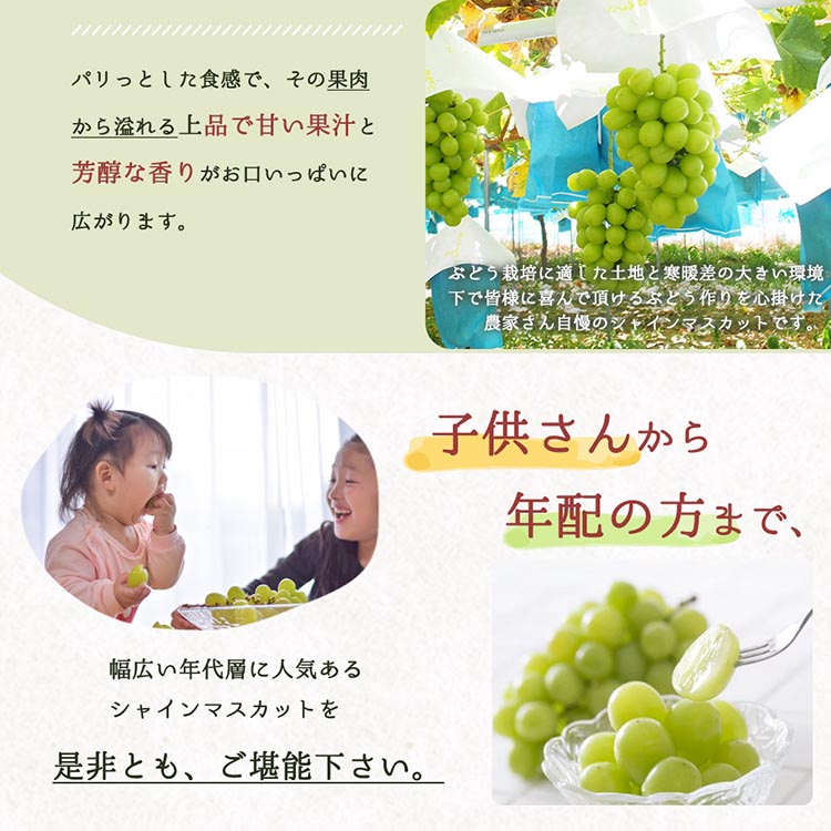 紀州和歌山産シャインマスカット 約1kg◇ ※離島への配送不