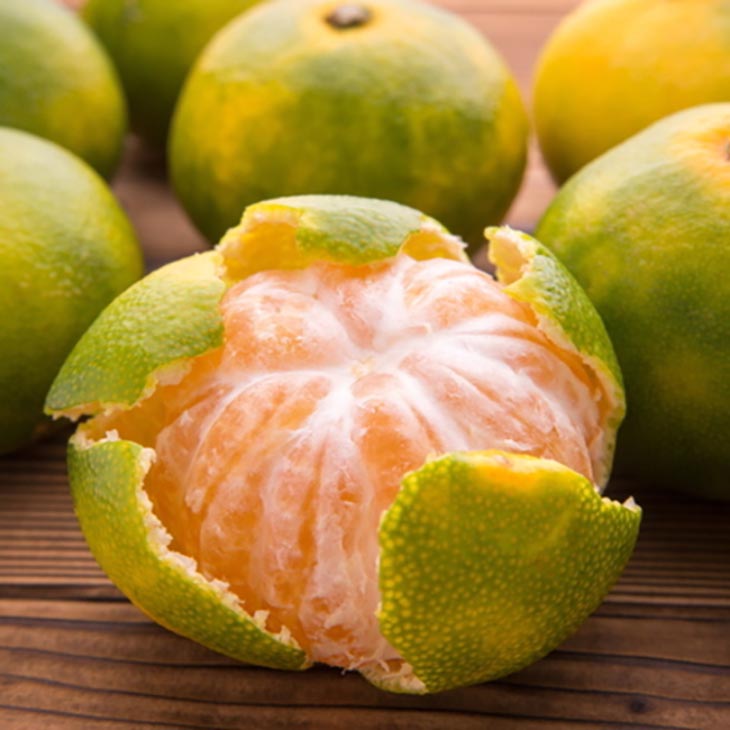 【先行予約】特撰 ゆら早生有田みかん 5.2kg(5kg+200g(傷み補償