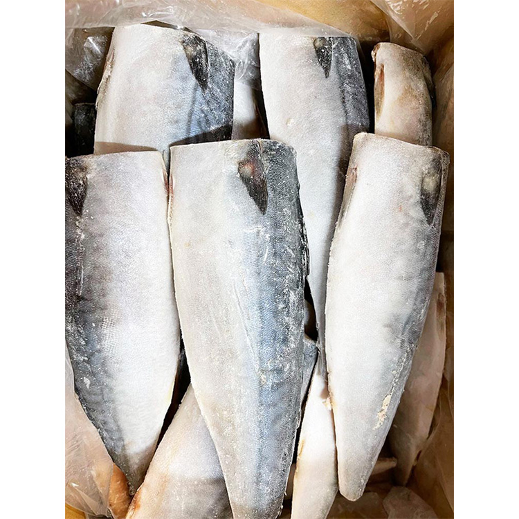 〈毎月定期便〉【ご家庭用　訳あり】塩さばフィレ3.5kg 全3