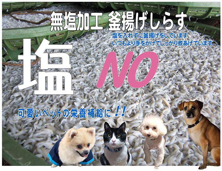無塩加工 釜揚げしらす 450g 【紙箱】 ※北海道・沖縄・離島
