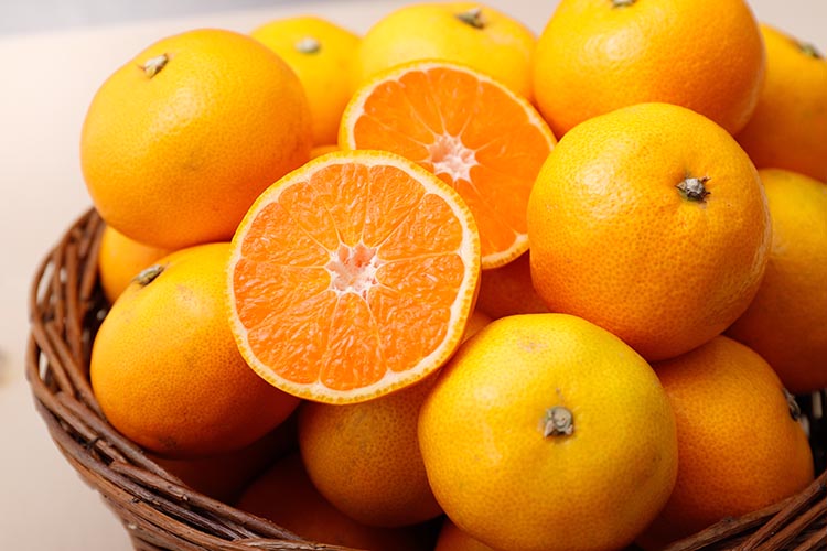 ＼光センサー選別／極 有田みかんプレミアム 10kg【光セン