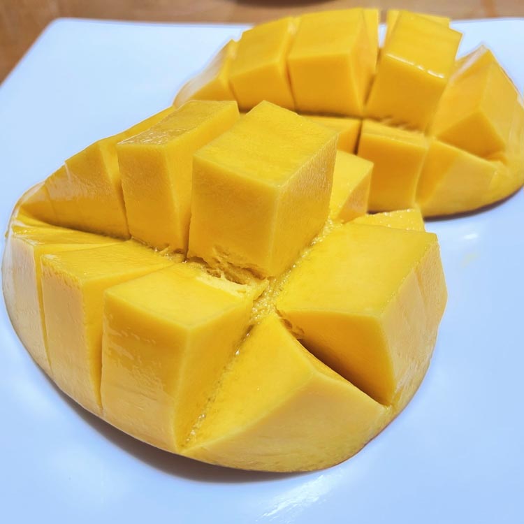 【希少マンゴー】濃厚 玉文 マンゴー 約1kg(1～3玉) ｜ 先行