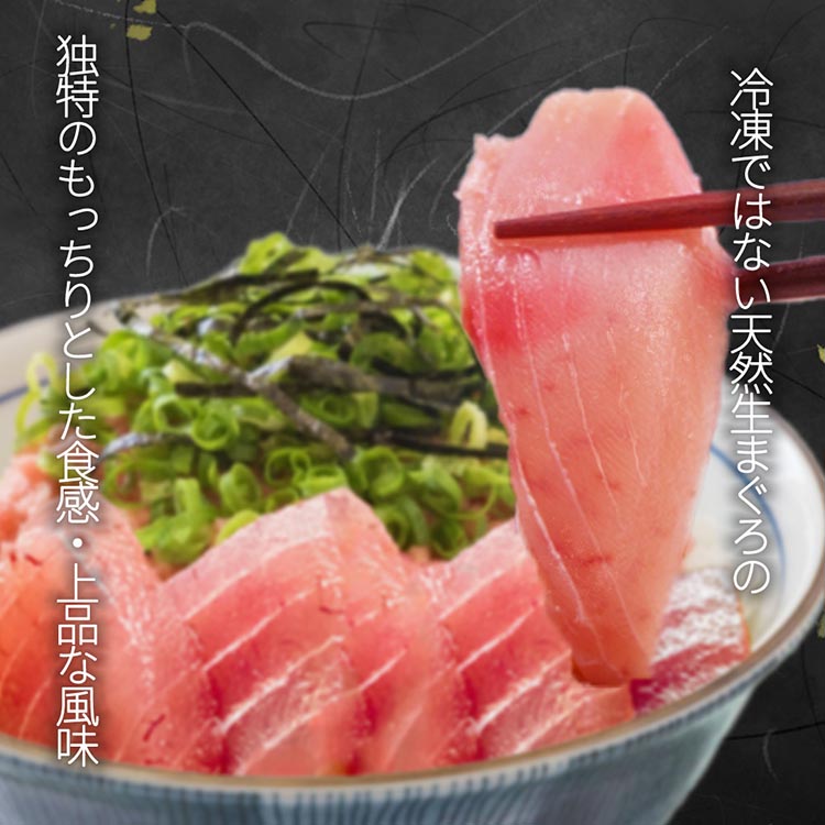 那智勝浦直送！天然もちもち生ビン長まぐろとたたきセッ