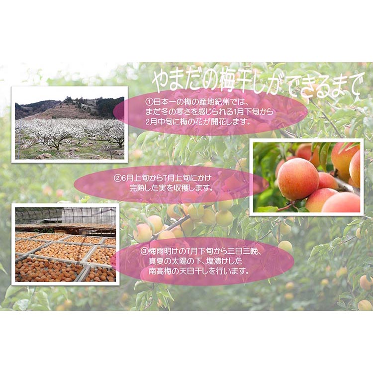 【定期便/2か月ごと/全5回】紀州南高梅しそ漬つぶれ（塩分