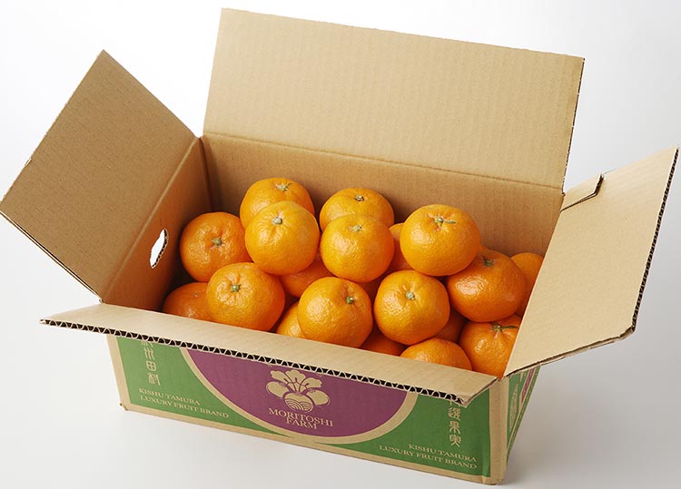 高級ブランド 秀品 紀州有田田村産みかん 3kg ※2025年12月上