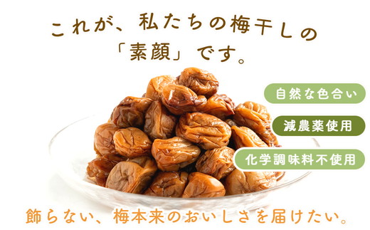 梅干し 無添加 訳あり はちみつ梅干1kg（500g×2） 紀州梅香 