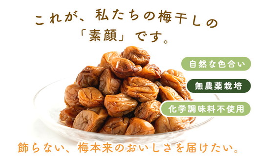 梅干し 無農薬、無添加の訳あり減塩つぶれ梅1kg（500g×2）塩