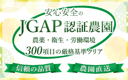 【まごころ手選別】和歌山産 有田みかん 5kg 家庭用 ※2025年
