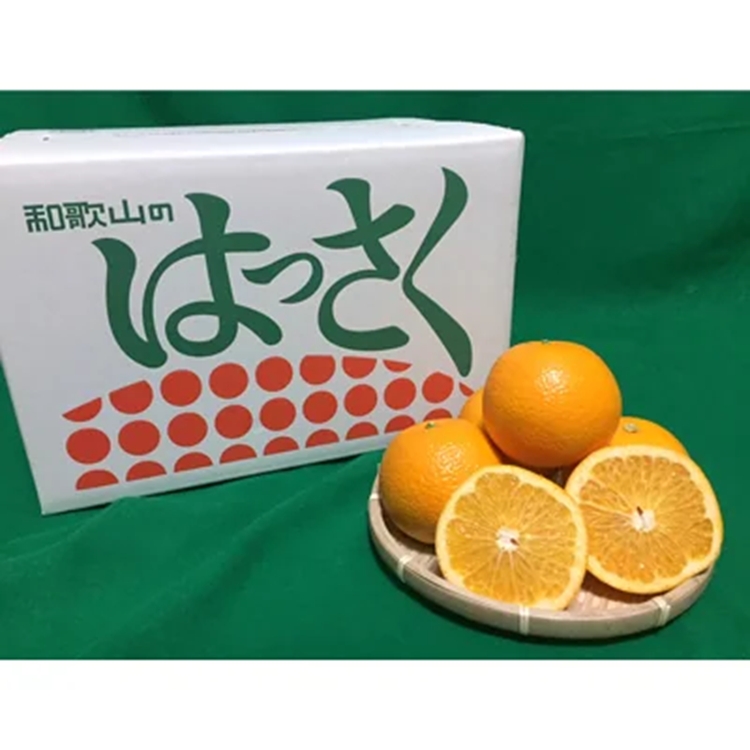 【まごころ手選別】有田の八朔(はっさく)約10kg(S～4Lサイズ