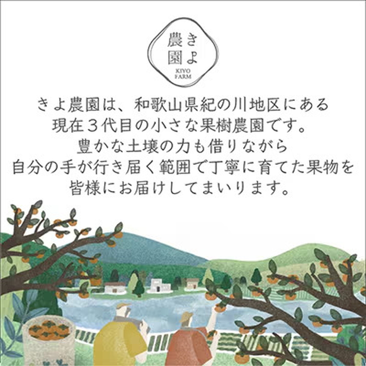 先行受付　不知火　希少な樹上完熟!　秀品大玉　6個入 ※20