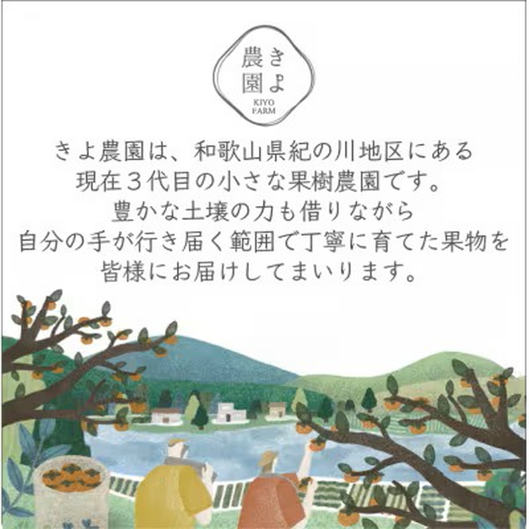 先行受付　大粒まりひめイチゴ　朝摘　6個～11個入×4パッ