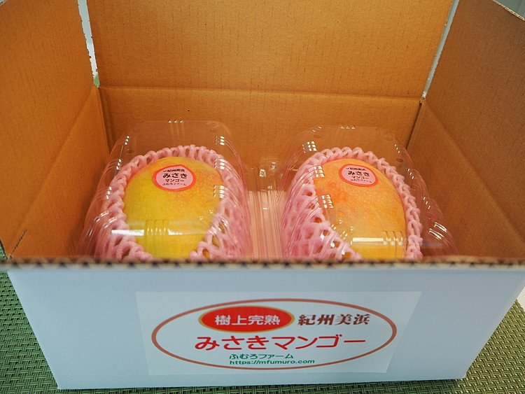 紀州美浜みさきマンゴー2～3玉（1.0～1.1kg）
※離島への配