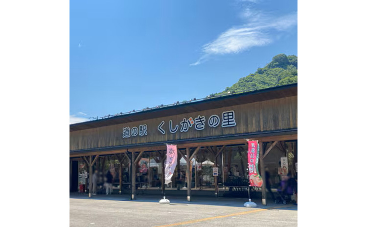 先行受付!　はれひめ(みかんの希少種)　秀品　25個～30個入