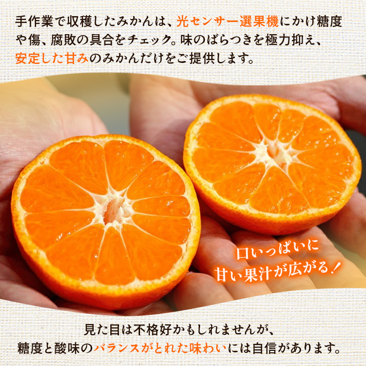 〈定期便〉【10・11・12月 全3回】家庭用 有田みかん定期便 2