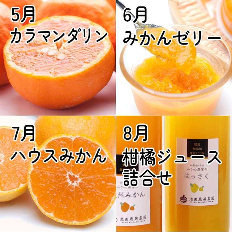 【定期便】家庭用 柑橘定期便 S 12回（毎月）※北海道・沖