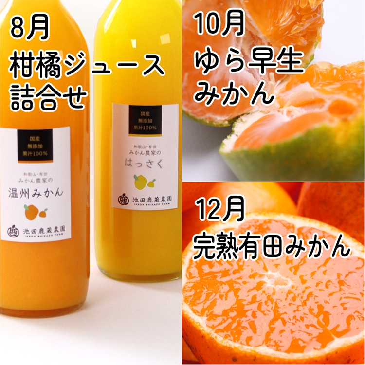 【定期便】家庭用 柑橘定期便 M 6回（偶数月）※北海道・沖