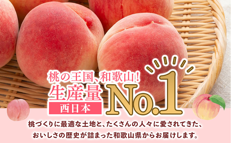 桃先行受付!　桃の王様【白鳳】　特秀品　食べきりやすい3