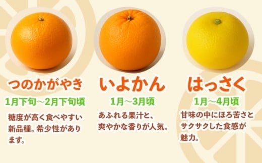 ＜1月より発送＞家庭用 柑橘詰合せ10kg+250g（傷み補償分）（