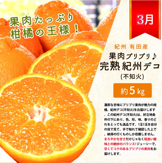 【定期便】【1・2・3月 全3回】紀州和歌山産旬 フルーツ定