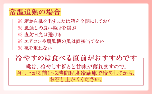 【産直・人気の特産品】和歌山の桃　約2kg・秀品◇ ｜ モモ