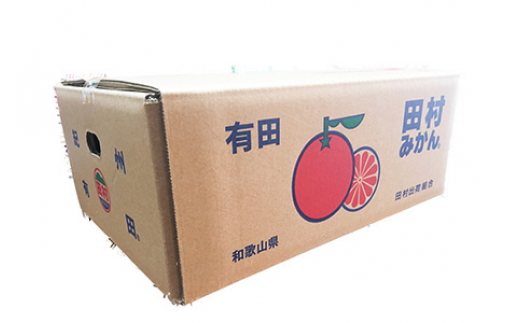 【先行予約】【ご家庭用訳あり】田村みかん　１０kg