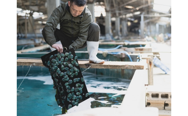 和歌山産煮アワビ スライス 【湯浅たまり醤油使用ぶどう山