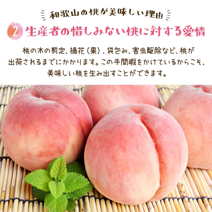 【先行予約】【夏の美味】フルーツ王国 和歌山の桃 約4kg 