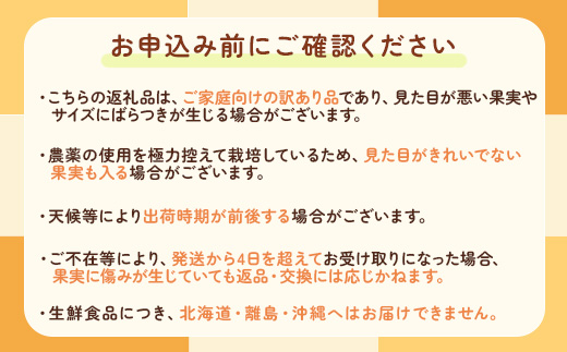 【先行予約】【数量限定】濃厚有田みかん（ご家庭用）7.7kg