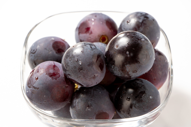 【定期便】和歌山の夏の人気果実2回お届け便
※着日指定