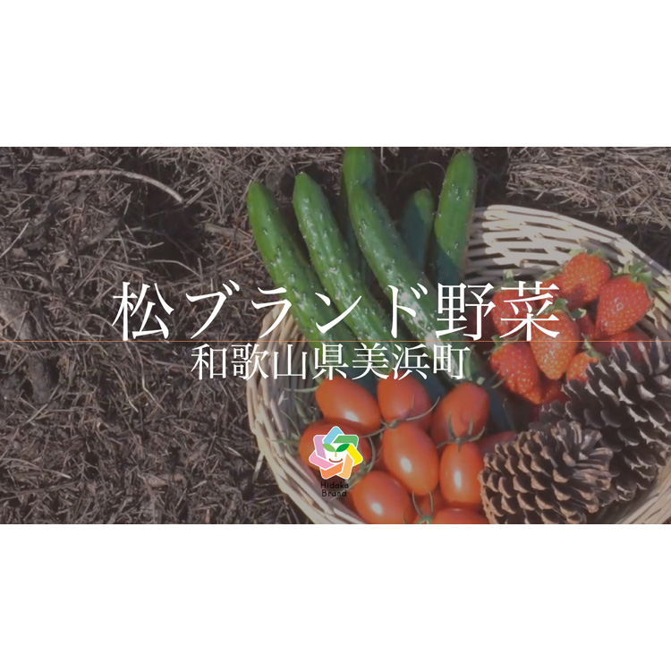 【煙樹の松野菜ブランド】
松とまと（アイコ）松きゅうり